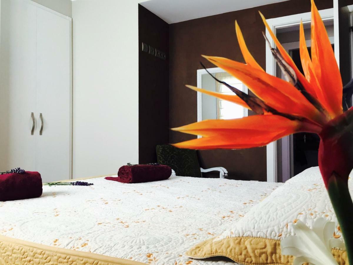 Lo Raconet Apartment Deltebre Exterior foto